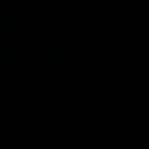 Meet your Posher, Neil